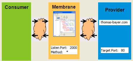 Membrane between Consumer and Producer Membrane between Consumer and Producer
