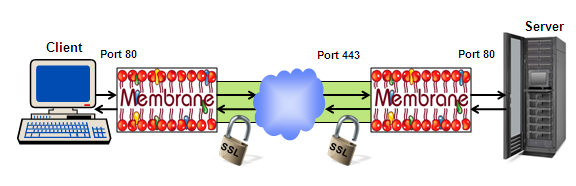 SSL VPN Tunnel
