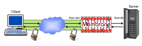 SSL Encryption for unsecured Server